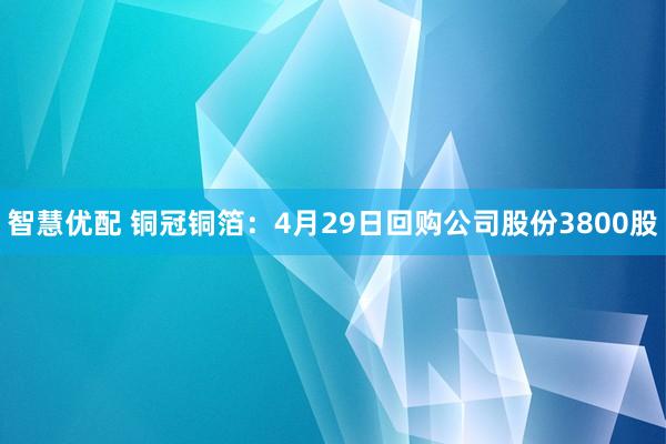 智慧优配 铜冠铜箔：4月29日回购公司股份3800股