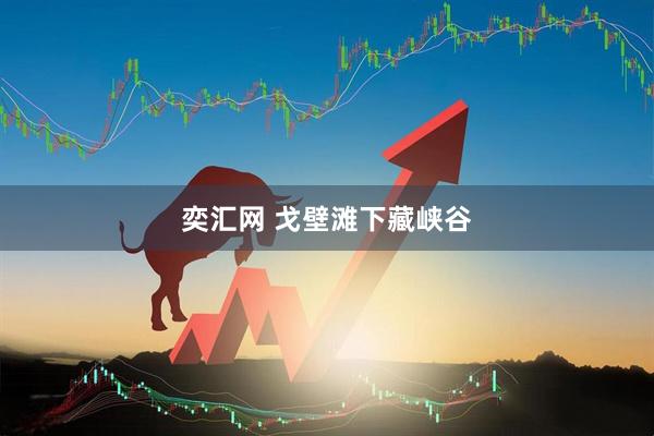 奕汇网 戈壁滩下藏峡谷