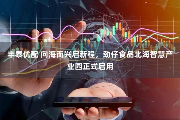 丰泰优配 向海而兴启新程，劲仔食品北海智慧产业园正式启用